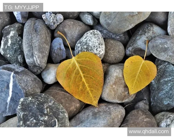 杨静的攀岩人生：在高峰之上与自我对话的深度探索